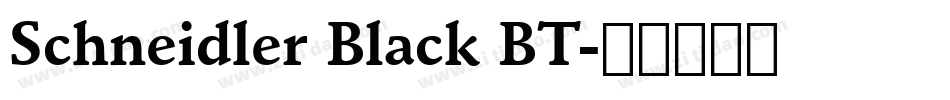 Schneidler Black BT字体转换